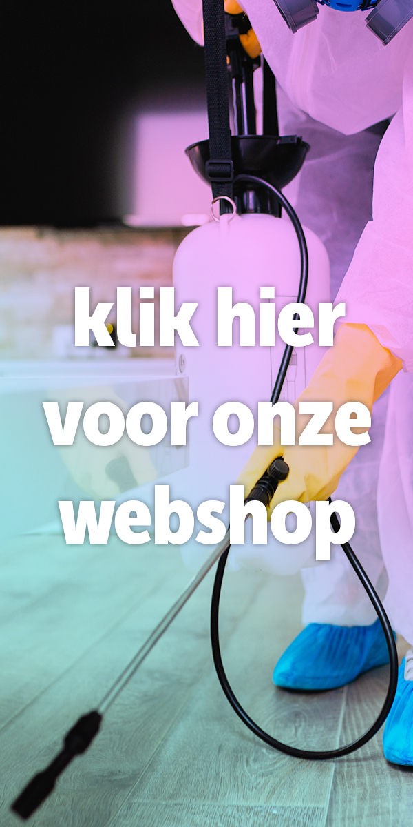 webshop